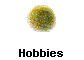 Hobbies