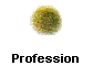 Profession