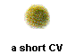 a short CV